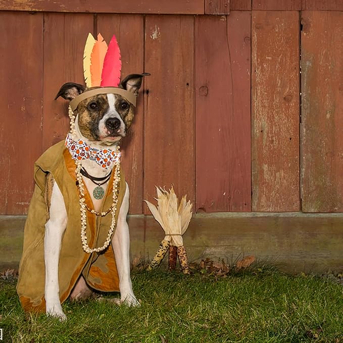 Elegant little tail Tanksgiving Dog Collar