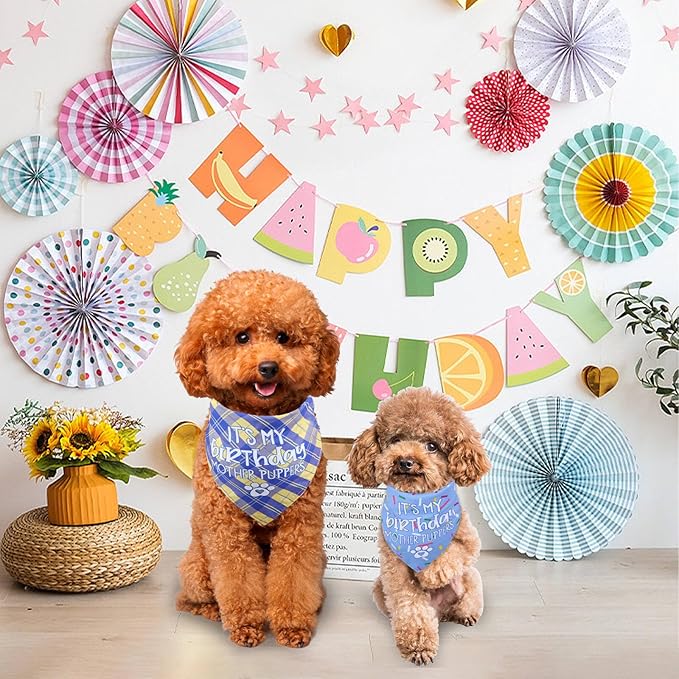 Dog Birthday Bandana Reversible Multi Size Offered for Dog Birthday Boy
