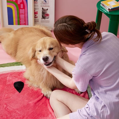 Lesure Dog Blankets for Large Dogs 350GSM Flannel 60"x60", Red