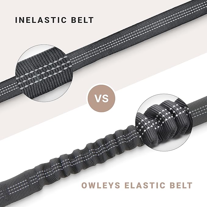 Dog Seat Belt for Car