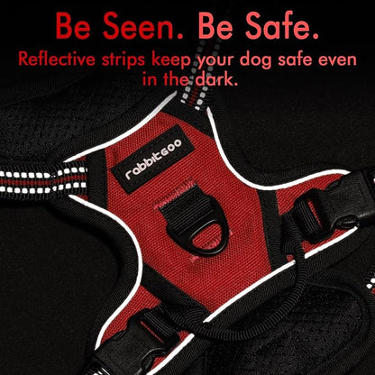 rabbitgoo Dog Harness 2 Leash