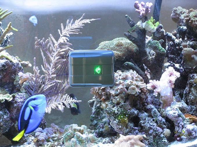 Robosnail Automatic Aquarium Glass Cleaner (Glass up to 3/8ths or 10mm )