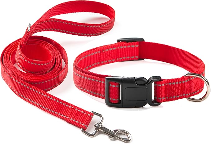 Dog Collar and Leash Set for Small