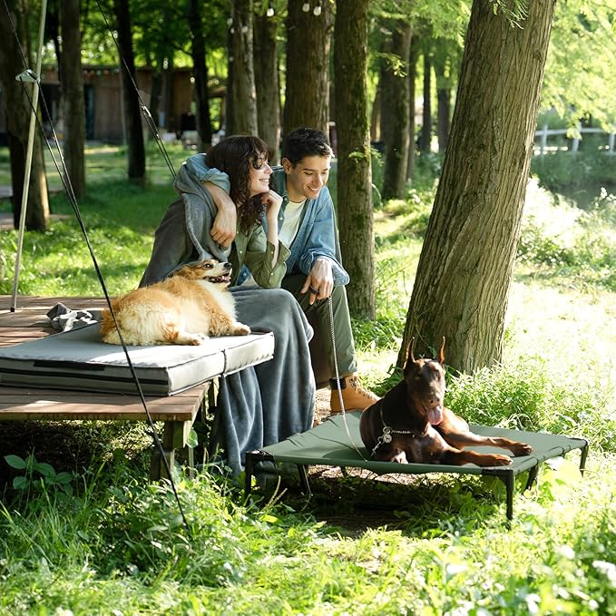EHEYCIGA 44 Inch Elevated Dog Cot Beds for Large Dogs