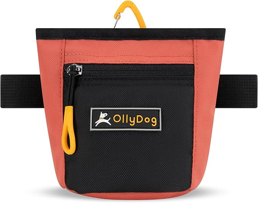 OllyDog Goodie Treat Bag, Dog Treat Pouch, Waist Belt Clip for Hands-Free Training, Magnetic Closure, Dog Training and Behavior Aids, Three Ways to Wear (Reef)