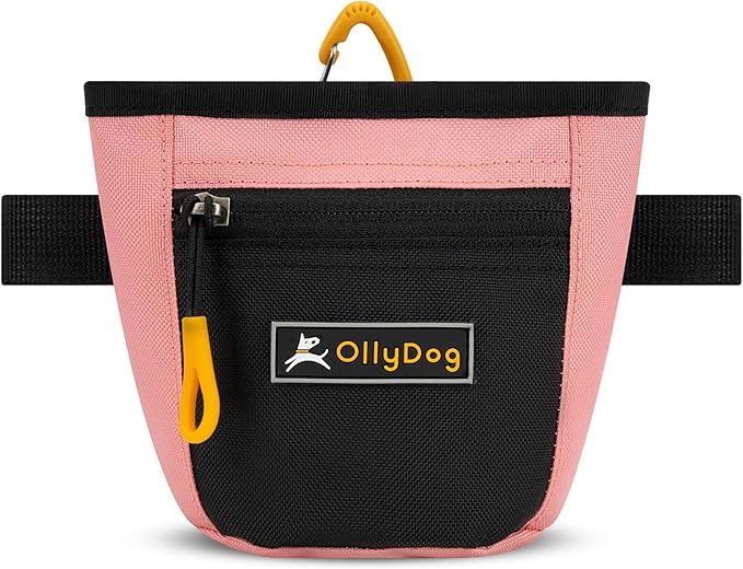 OllyDog Goodie Treat Bag, Dog Treat Pouch, Waist Belt Clip for Hands-Free Training, Magnetic Closure, Dog Training and Behavior Aids, Three Ways to Wear (Strawberry Ice)