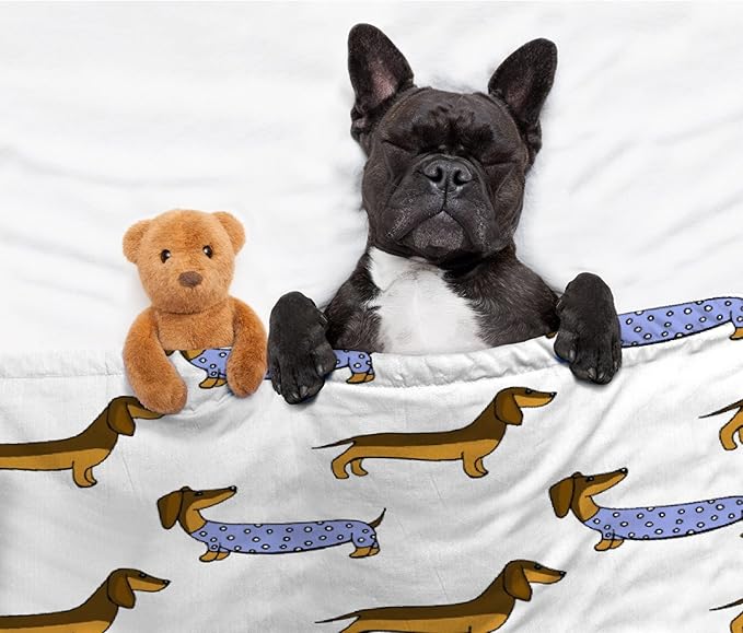 Dachshund Dog Blankets Puppy Blanket 30x40 in