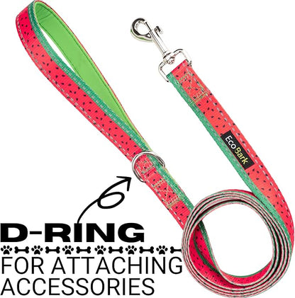 EcoBark Dog Leash - 4 FT / 5 FT / 6 FT Reflective Dog Leash- Eco-Bright Dog Leashes with Padded Handle - Strong Heavy Duty Dog Leash - Nylon Dog Leash for Medium and Large Dogs (Watermelon Dog Leash)