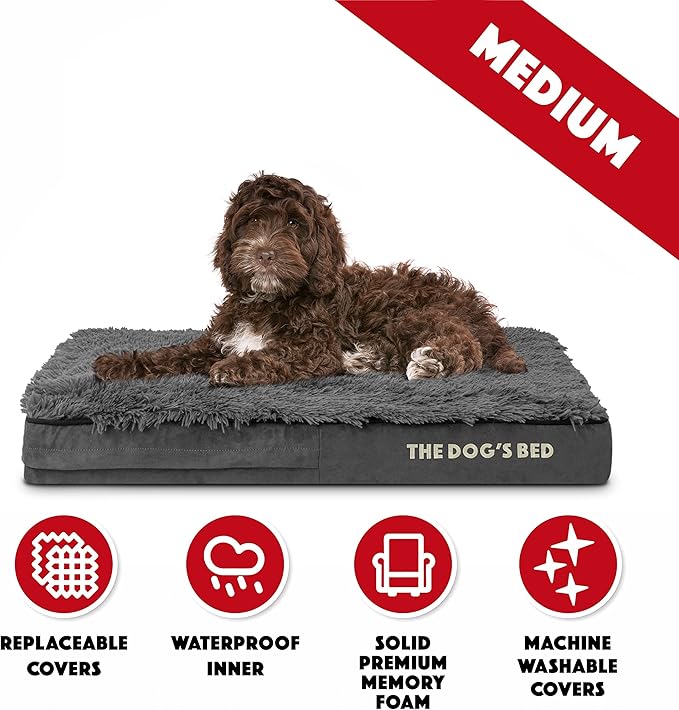 The Dog’s Bed Orthopedic Memory Foam Dog Bed 34x22, Pain