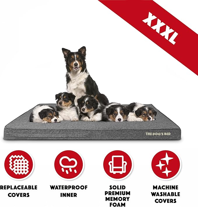 The Dog’s Bed Orthopedic Memory Foam Dog Bed 64x44, Pain