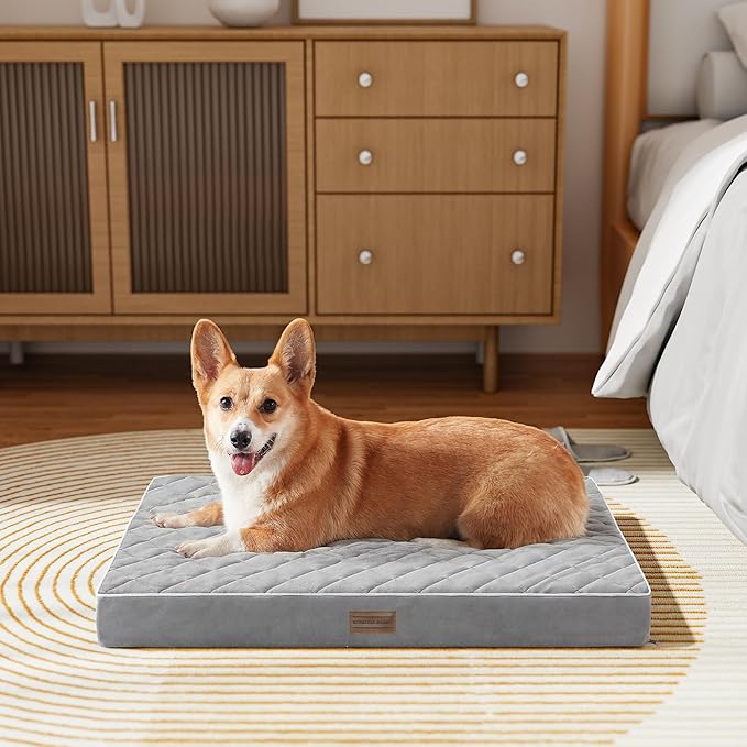 SunStyle Home Orthopedic Dog Beds for Medium Dogs