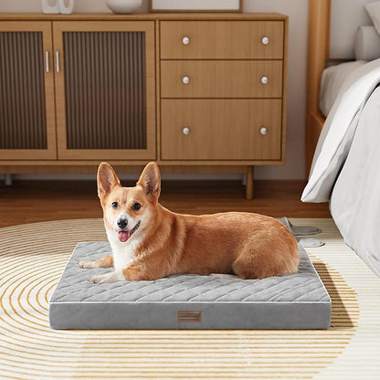 SunStyle Home Orthopedic Dog Beds for Medium Dogs