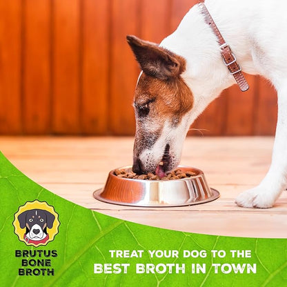 Brutus Vegetable Broth for Dogs 64 oz | All Natural | Made in USA |Omegas & Turmeric for Healthy Skin & Coat |Human Grade Ingredients |Hydrating Dog Food Topper, Gravy & Treat Salmon