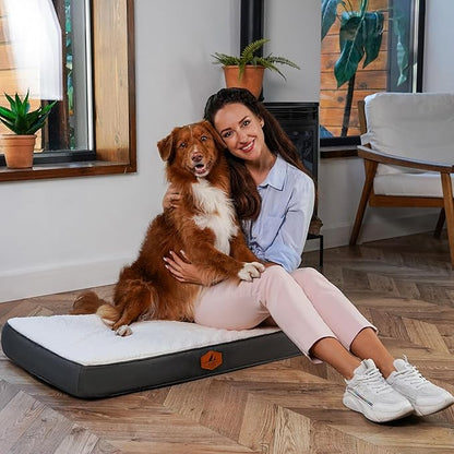 Orthopedic Dog Bed for Medium Size Dog