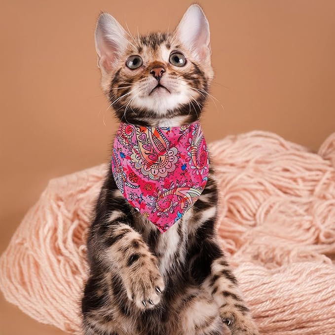 Paisley Dog Bandanas for Small Dogs Breed Cats 18 Inch 7PCS