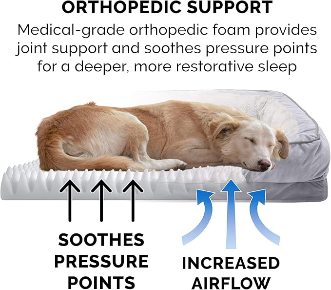 Furhaven Orthopedic Dog Bed for Large/Medium Dogs w/ Removable Bolsters & Washable Cover 55 lbs