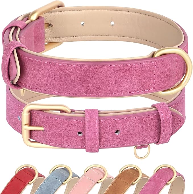 Didog Soft Padded Leather Dog Collar