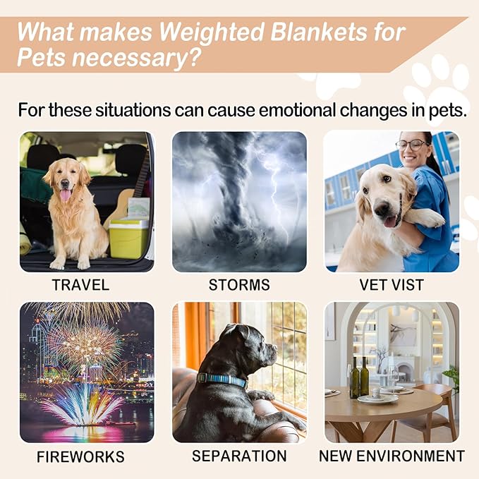 YUSRA Small Weighted Blanket for Dogs, Warm Minky Dog Blanket Especially for Thunderstorms, Fireworks, Separation, Travel, Bed and Couch, Machine Washable, Soft Dog Blanket (Beige, 40 * 47inch 6lbs)