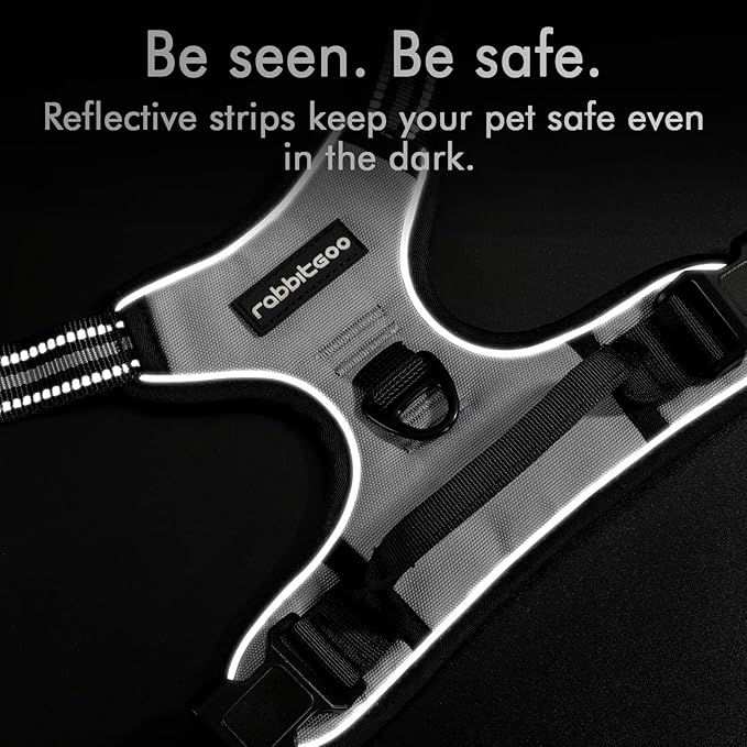 rabbitgoo Dog Harness 2 Leash