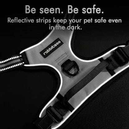 rabbitgoo Dog Harness 2 Leash