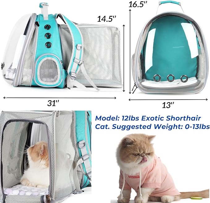 Lollimeow Cat Carrier Backpack