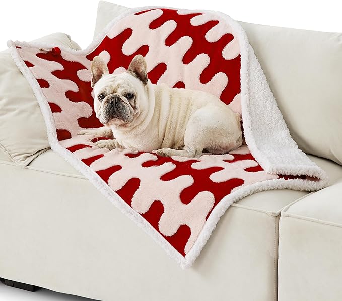 Lesure Waterproof Dog Blanket for Medium Dogs 3D Textured
