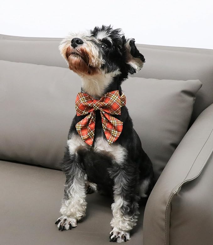 Unique Style Paws Cotton Dog Collar with Bow