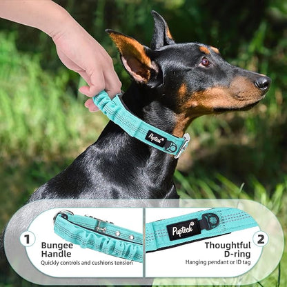 PUPTECK Heavy Duty Dog Collar with Handle Bungee for Small Medium Large Dogs