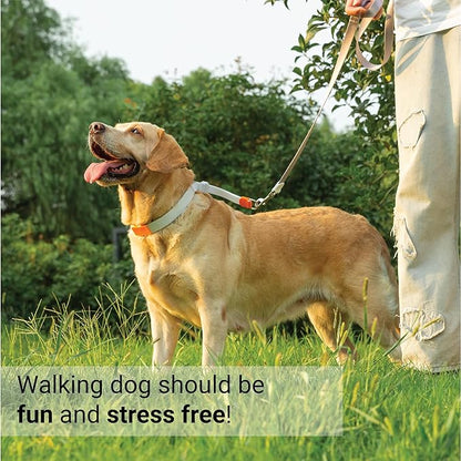 SVD.PET Dog Prong Collar for No-Pull Training