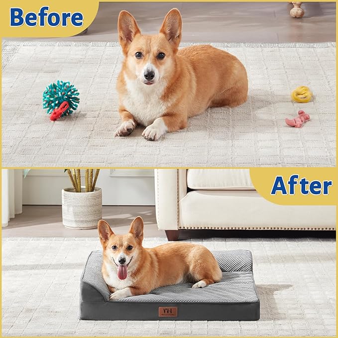 Orthopedic Dog Beds Medium Sized Dog