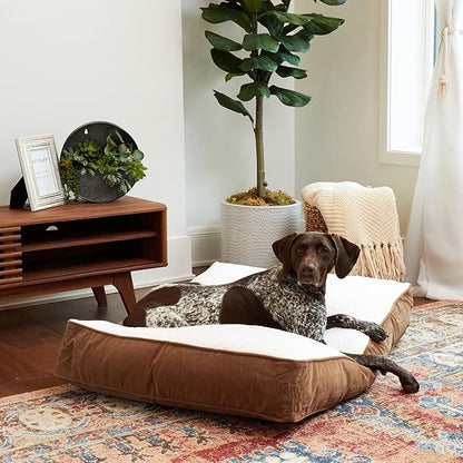 Buster Deluxe Reversible Pillow Style Sherpa Dog Bed (42 x 30 in.)