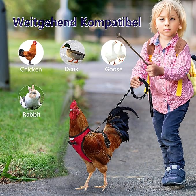 Chicken Harness Hen Size with 6ft Matching Leash – Adjustable, Resilient, Comfortable, Breathable, Large Size, Suitable for Chicken Weighing About 6.6 Pound,red