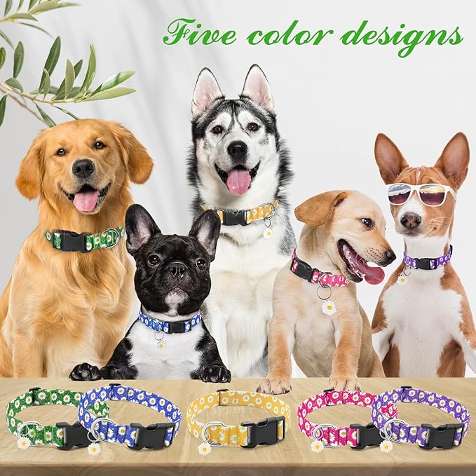 BiPawTi Green Dog Collars for St. Patrick's Day