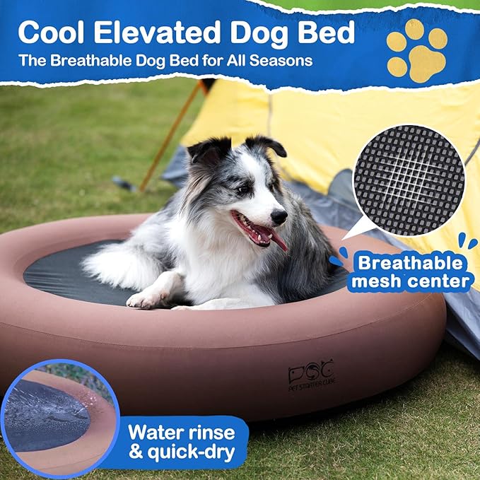Elevated Dog Bed
