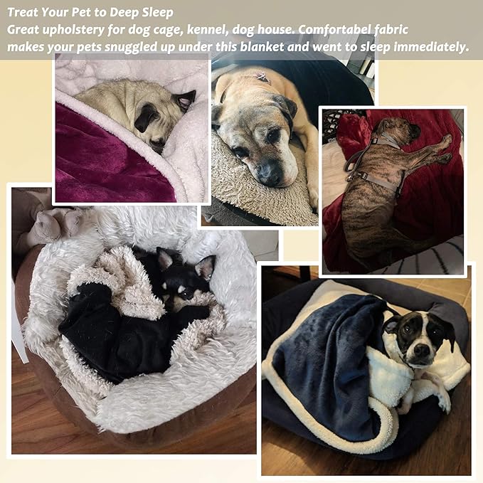 Large Dog Blanket 50x60 inches