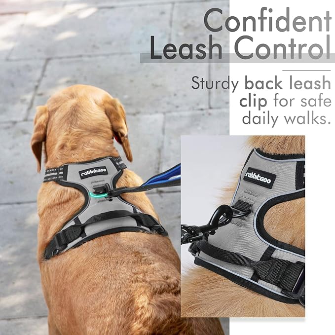 rabbitgoo Dog Harness, No-Pull Pet Harness with 2 Leash Clips, Adjustable Soft Padded Dog Vest, Reflective No-Choke Pet Oxford Vest with Easy Control Handle for Small Dogs, Grey, S