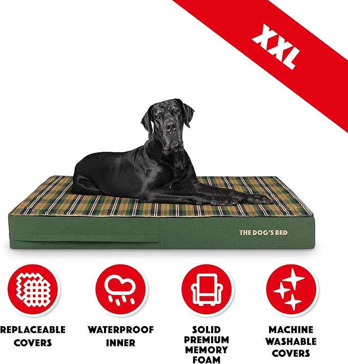 The Dog’s Bed Orthopedic Memory Foam Dog Bed 54x36, Pain