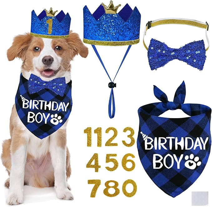STMK Dog Birthday Party Supplies