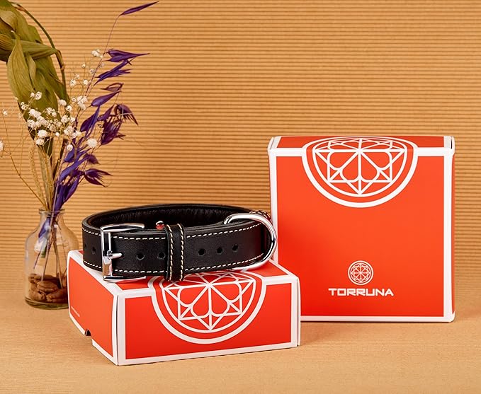 Soft Leather Dog Collar