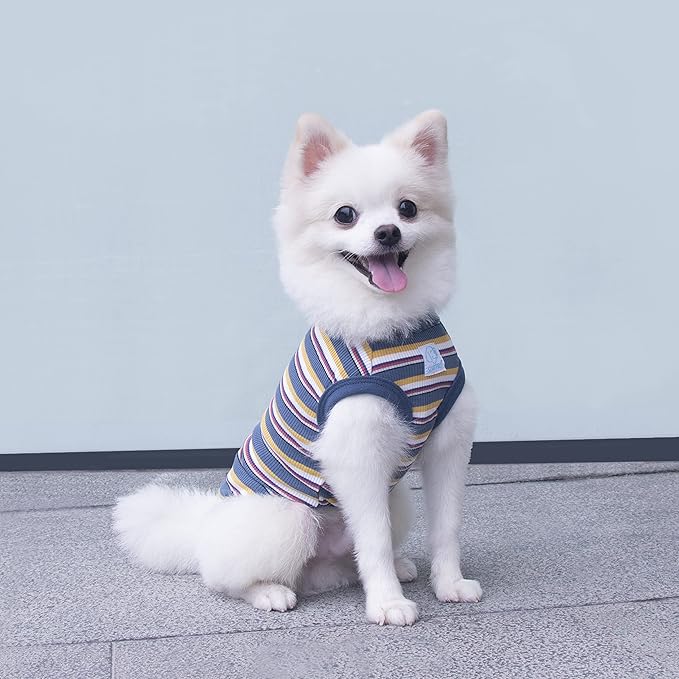 Striped Teacup Pet Dog T-Shirts 100% Cotton 3X-Small