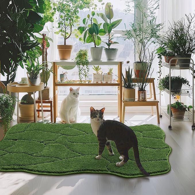 BSICPRO Dog Mat for Muddy Paws 32x20 Inches