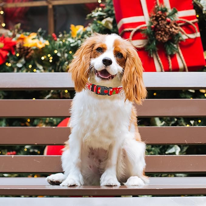 Cute Floral Dog Collar for Small Medium Large Dogs