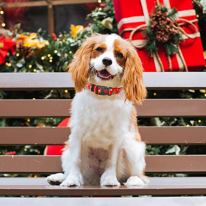 Cute Floral Dog Collar for Small Medium Large Dogs