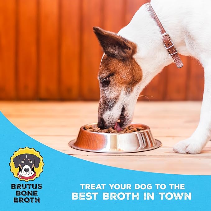 Brutus Beef Bone Broth for Dogs and Cats - All Natural Dog Bone Broth with Chondroitin Glucosamine & Turmeric -Human Grade Dog Food Toppers for Picky Eaters & Dry Food -Tasty & Nutritious