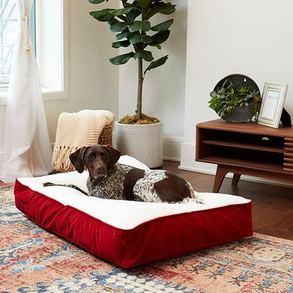 South Pine Porch Buddy Rectangle Pillow Style Dog Bed (42" x 30")