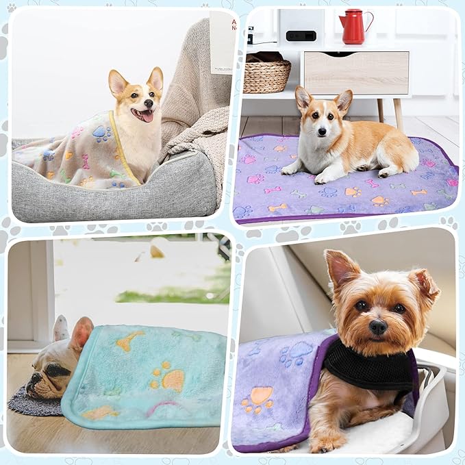 Dog Blanket for Small Dogs 3 Pack (23x16 inch)