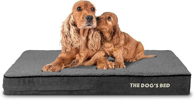The Dog’s Bed Orthopedic Memory Foam Dog Bed 40x25x4, Pain