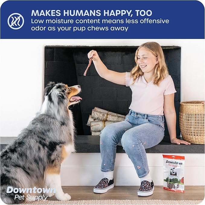 Downtown Pet Supply USA Sourced 12", 5 Pack Bully Sticks for Large Dogs, Regular - Rawhide Free Dog Chews Long Lasting and Non-Splintering - Single Ingredient, Low Odor Bully Sticks for Medium Dogs