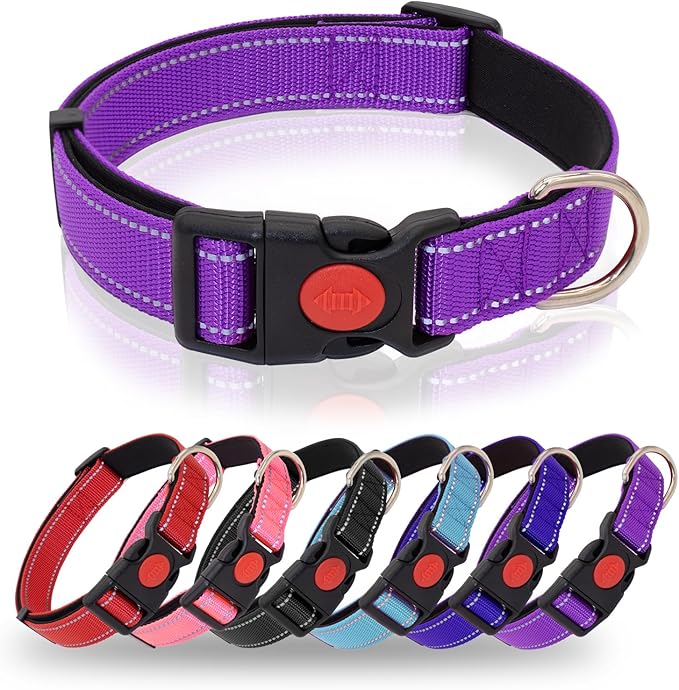 Reflective Dog Collar
