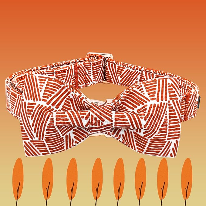 Elegant little tail Fall Dog Collar